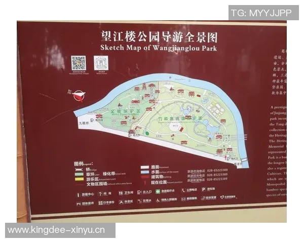 成都篮球队挑战赛战术分析与表现评估全景解读